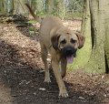 Maerz-April 2009 027